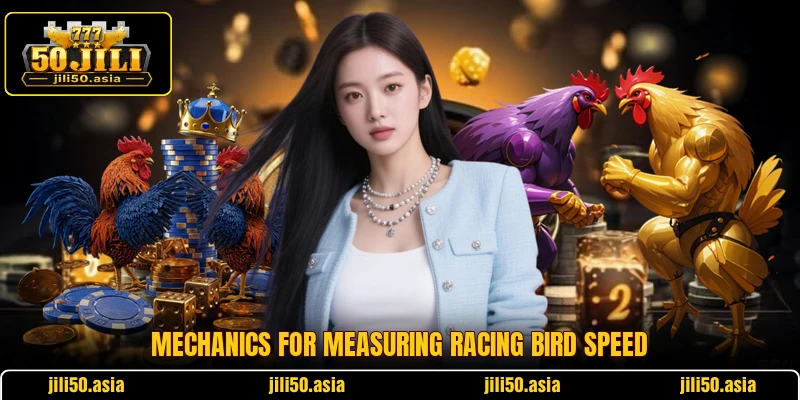 Mechanics for measuring racing bird speed