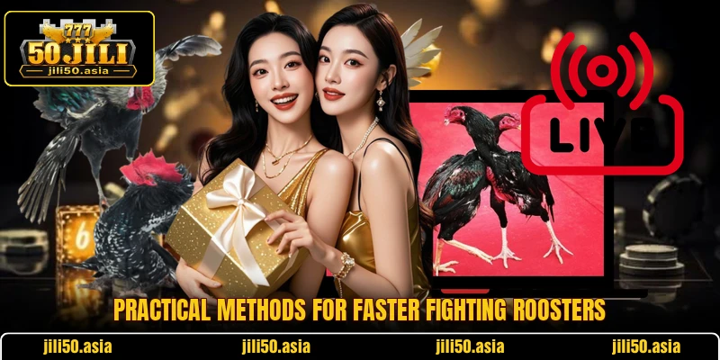 Practical methods for faster fighting roosters